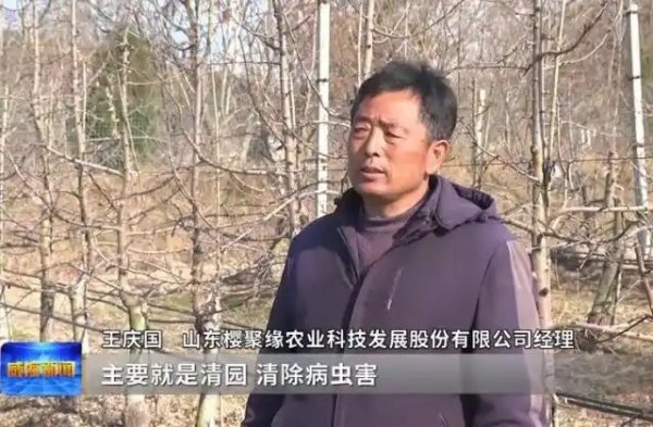 临港区春管春护农事忙