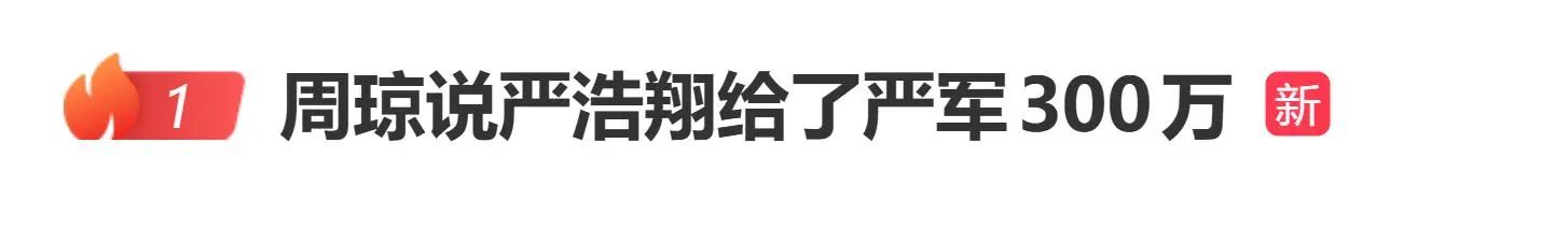 周琼说严浩翔给了严军300万