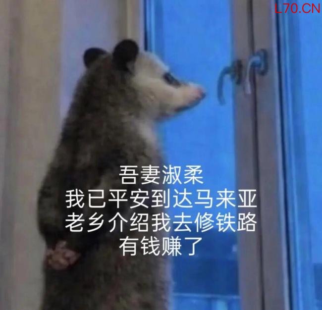 2026年最火表情包出现了 负鼠入侵打工人群聊