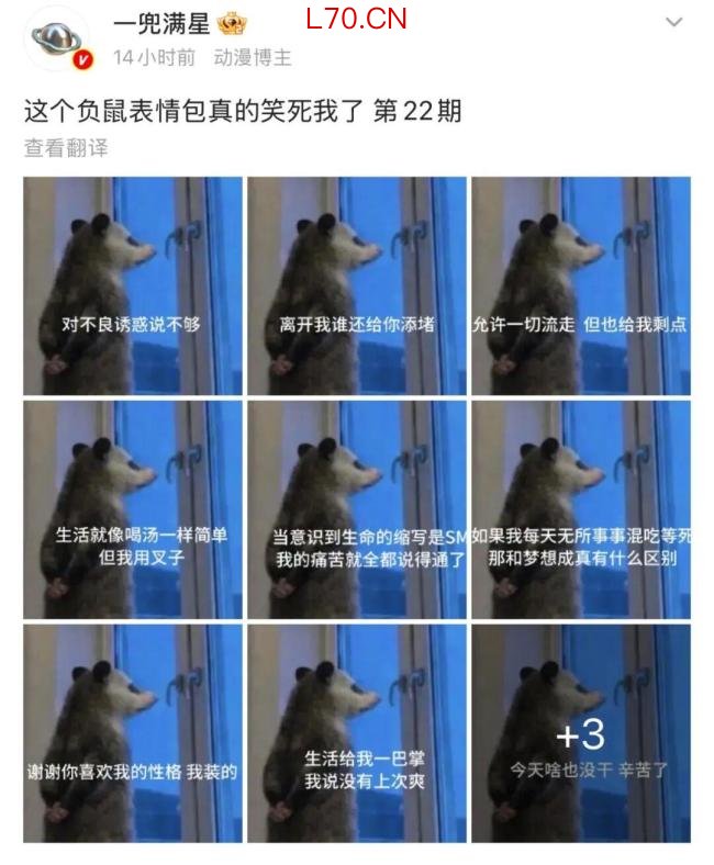 2026年最火表情包出现了 负鼠入侵打工人群聊