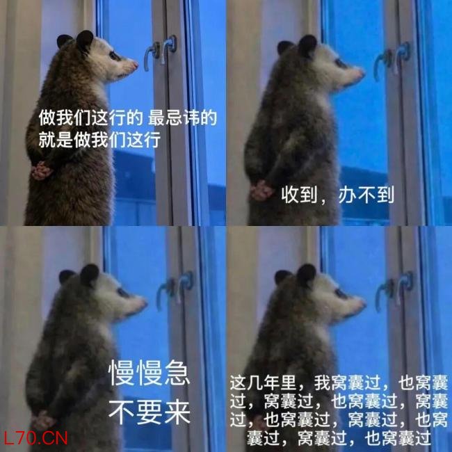 2026年最火表情包出现了 负鼠入侵打工人群聊