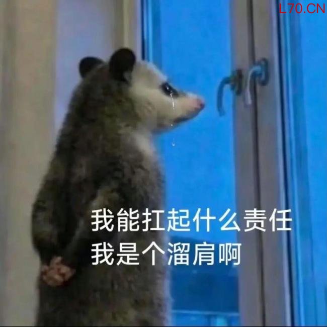 2026年最火表情包出现了 负鼠入侵打工人群聊