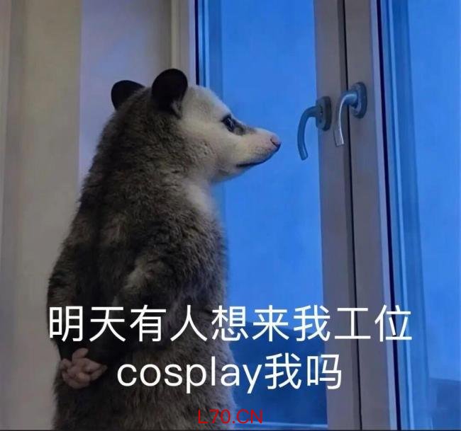 2026年最火表情包出现了 负鼠入侵打工人群聊