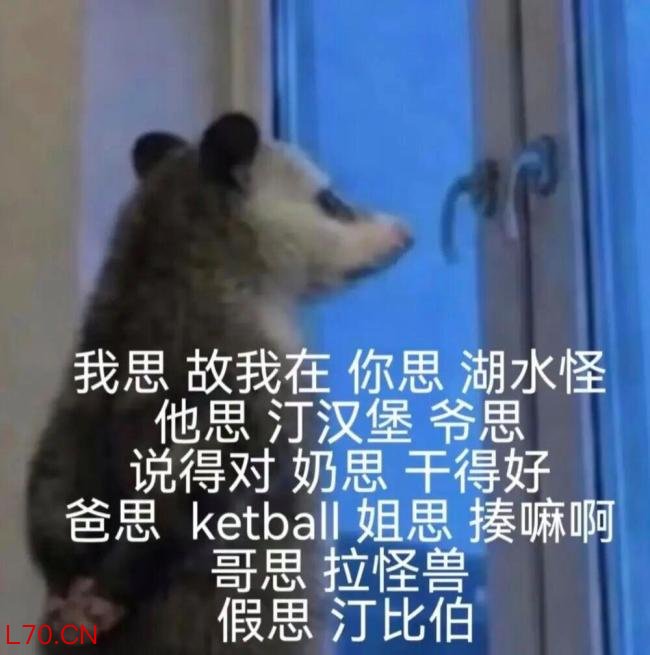 2026年最火表情包出现了 负鼠入侵打工人群聊