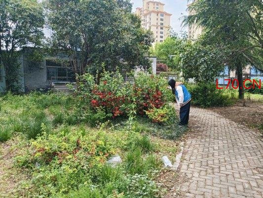 济宁市任城区南张街道满庄社区：网格排查除毒患 禁种铲毒护平安